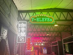 -武汉知音号