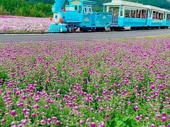 -径山花海