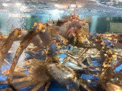 -七鲜超市(万向城店)