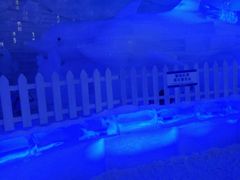 -世界之窗阿尔卑斯冰雪世界
