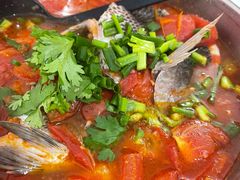 -风鑫铃罗非鱼(道沟店)