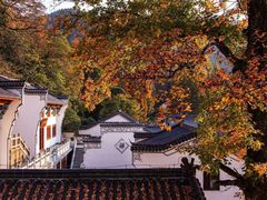 -宜城私房菜.臭鳜鱼(九华新街店)