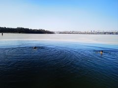 -长春市南湖公园