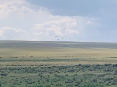 -希拉穆仁草原