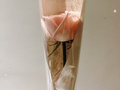 -Tomacado花厨(One ITC店)