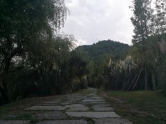 -贵阳市花溪国家城市湿地公园