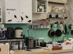 大堂-猫的茶·猫咖