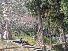 -长屿硐天八仙岩景区