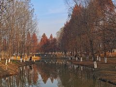 -西安浐灞国家湿地公园