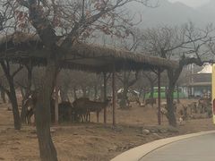 -西安秦岭野生动物园