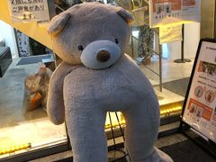 -Red Rock(原宿店)