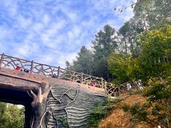 -梭布垭石林景区