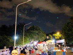 -光明港公园