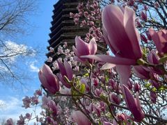-玲珑塔公园