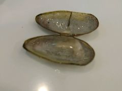 -盒马渔市餐厅