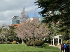 -静安公园(静安寺街道)