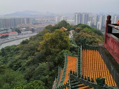 -阅江楼风景区