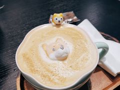 -逗柴咖啡屋·狗咖猫咖宠物桌游