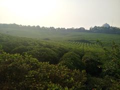 -南京市江宁方山