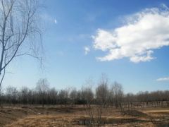 -东郊湿地公园