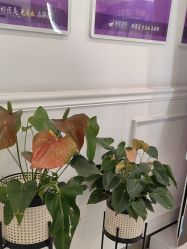 -丽都整形美容医院·全国连锁旗舰店