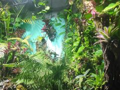 -太平洋海底世界