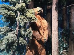 -陕西自然博物馆