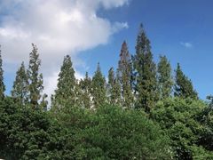 -珊珊小笼馆(仙霞路店)