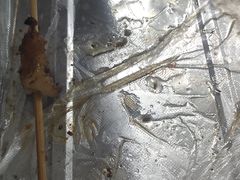 -同来顺烧烤餐厅(哈尔滨道店)