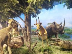 -国家自然博物馆