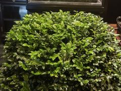 -老铺黄金(工美大厦店)