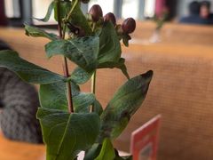 -马仕玖煲·融合菜·酥不腻烤鸭(人大店)