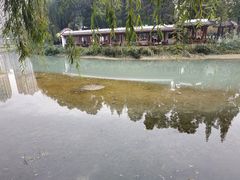 -温江公园
