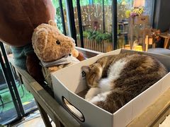 -咖法森林·咖啡  酒吧(天河店)