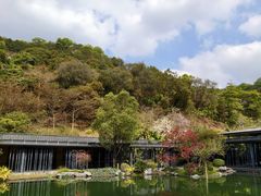 -云溪植物园
