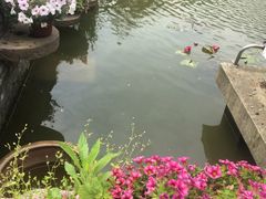 -翠山·映月湖景餐厅(映月湖公园店)