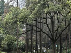 -忠山公园