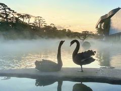 -罗红摄影艺术馆