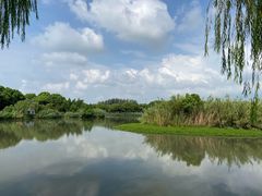 -沙家浜风景区
