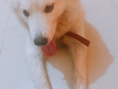 -宠颐生动物医院·全科·骨外科中心·利宠康分院
