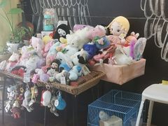 -志龙皇冠吃货椰子铺