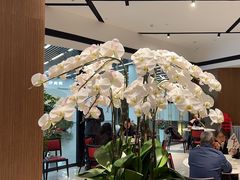-富淳饭店(陆家嘴保利广场店)