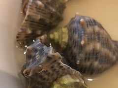 -赶海部落海鲜城(海阳路店)