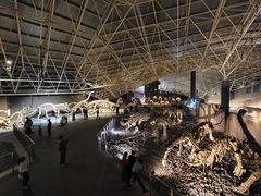 -世界恐龙谷景区