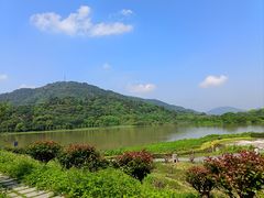 -风云岭森林公园