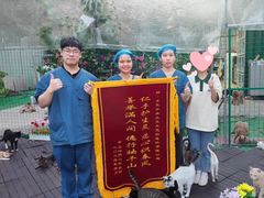 -东莞宠友24H宠物中心医院·转诊夜诊·异宠(新河北路院)