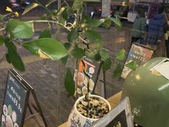 -顶顶香煎饼家常菜(金花南路店)