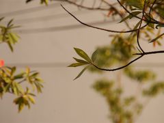 -大宁灵石公园西门票处
