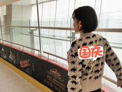 -冰纷万象滑冰场(二七万象城店)