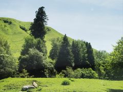 -新疆那拉提国家旅游度假区